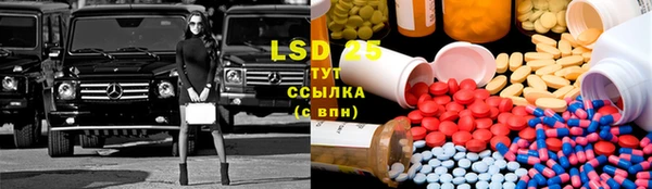 индика Бугульма
