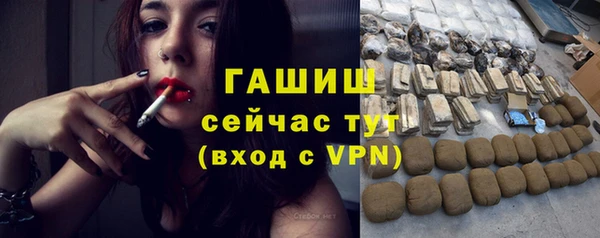 индика Бугульма