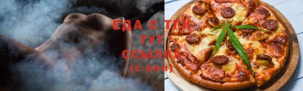 индика Бугульма