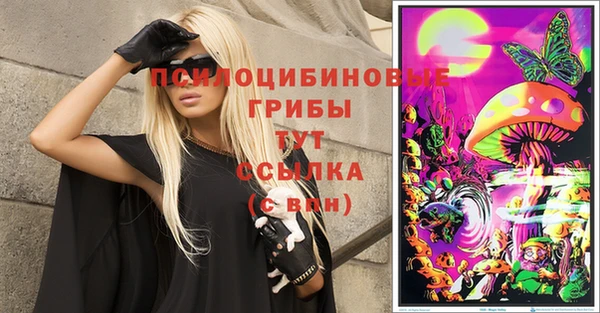 2c-b Бородино