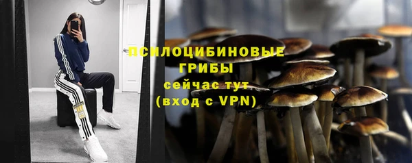 2c-b Бородино