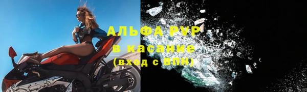 2c-b Бородино