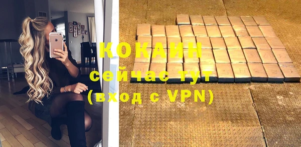 2c-b Бородино