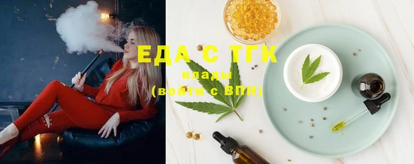 индика Бугульма