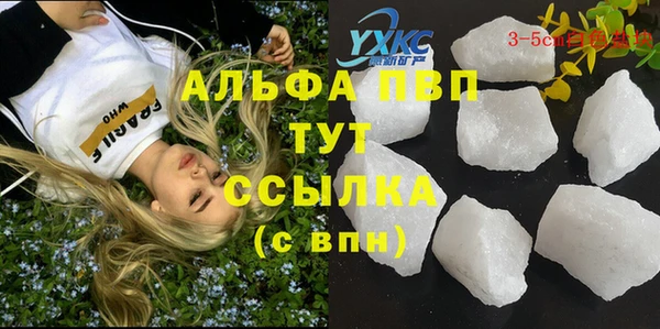 2c-b Бородино