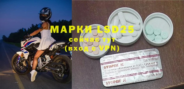 индика Бугульма