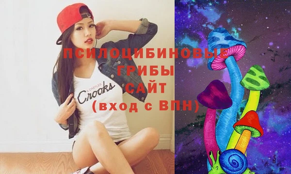 индика Бугульма