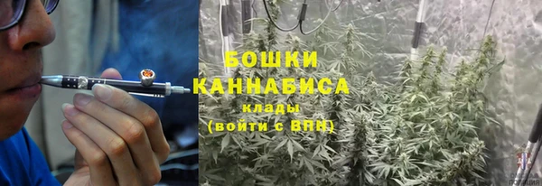 2c-b Бородино