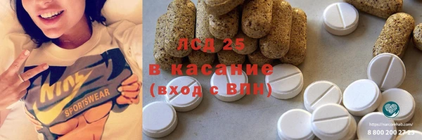 индика Бугульма