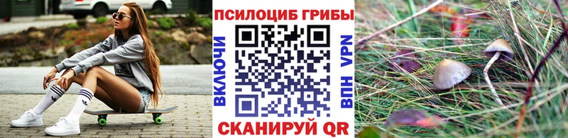 Купить закладки  Гай  Псилоцибиновые грибы GOLDEN TEACHER 